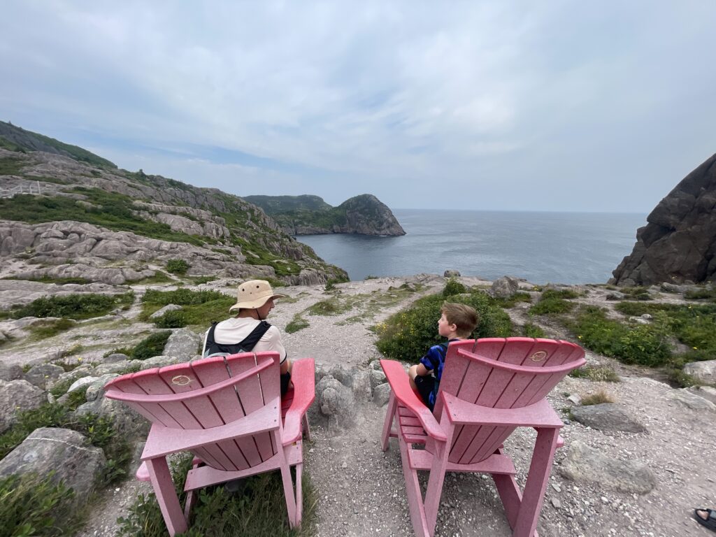 Panoramic view of St. John’s coastline from Signal Hill trail with benches and scenic lookout points.