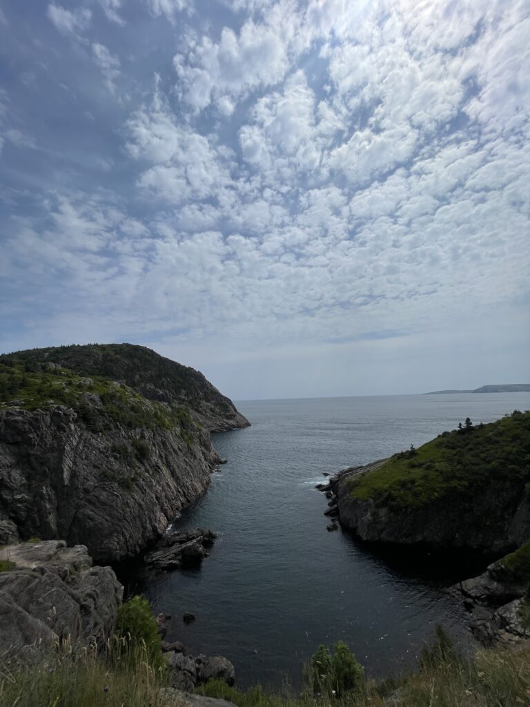 Coastal trail leading from Cabot Tower to Quidi Vidi, with hikers stopping to admire ocean views and spot whales.

