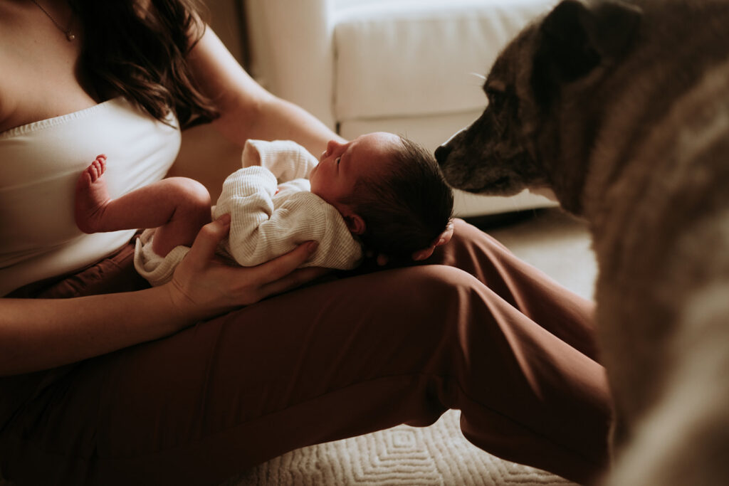 In-home newborn session | Zettel Photography